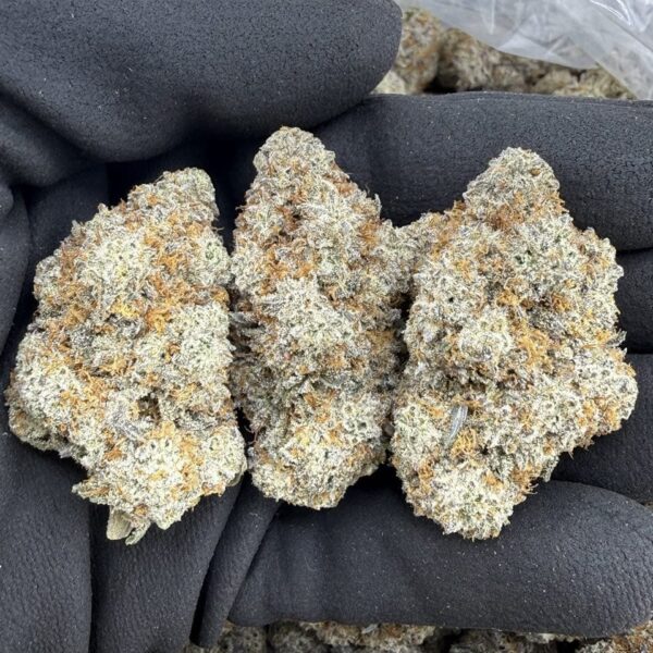 Black Ice Strain