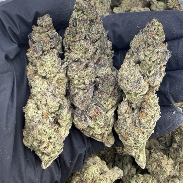 Purple Gush Mintz