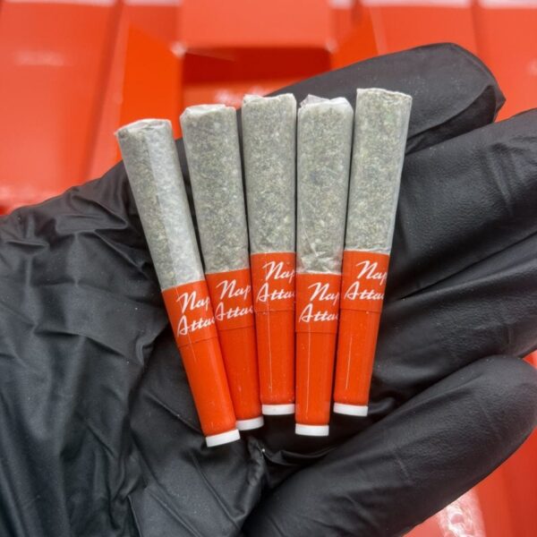 New Sherbinski Preroll 2026