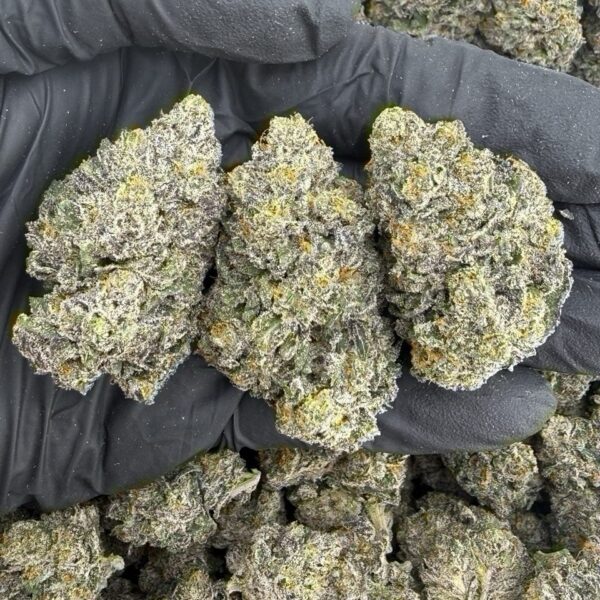 TM Double Runtz Strain
