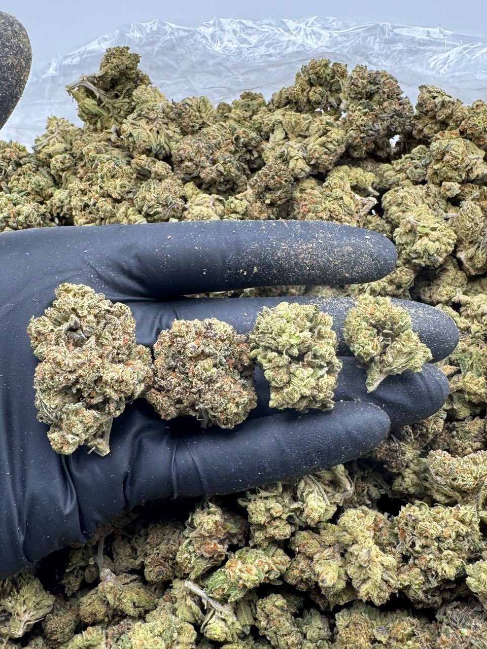 Buy weed Online near me