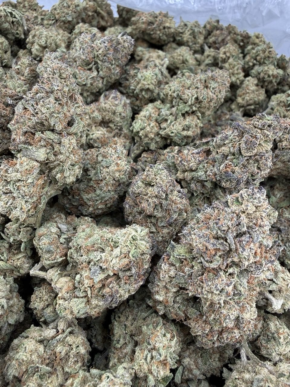 Best gelato strain