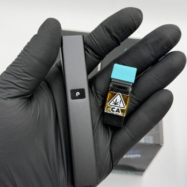 Real and new Plug Play Disposable vape 2026