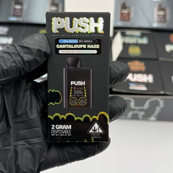 push 2g disposable 2026